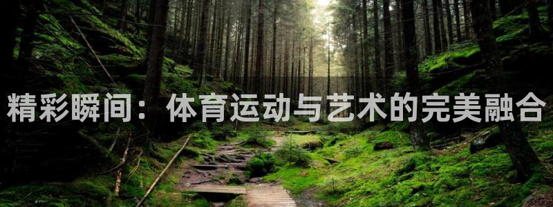 中欧体育ac米兰