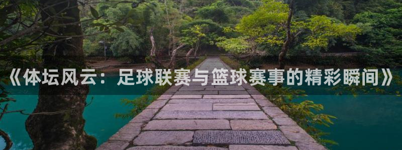 中欧体育网址：《体坛风云：足球联赛与篮球赛事的精彩瞬间》