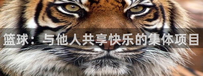 中欧体育网址：篮球：与他人共享快乐的集体项目