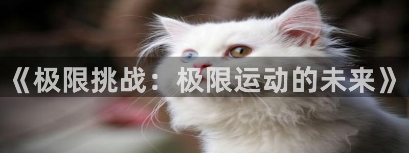 zoty中欧体育平台：《极限挑战：极限运动的未来》