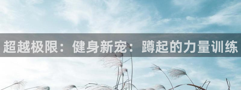 中欧体育kok官网首页：超越极限：健身新宠：蹲起的力量训练