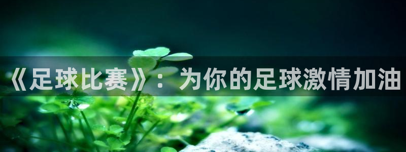 kok中欧体育登录：《足球比赛》：为你的足球激情加油