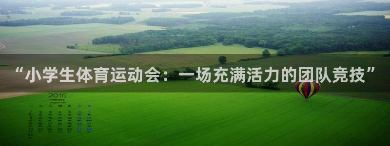 zyty中欧体育平台：“小学生体育运动会：一场充满活力的团队竞技”