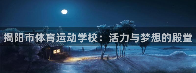 中欧体育客服：揭阳市体育运动学校：活力与梦想的殿堂