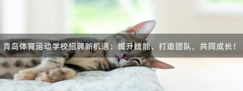 中欧体育下载：青岛体育运动学校招聘新机遇：提升技能、打造团队，共同成长！