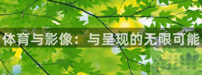 kok中欧体育登录：体育与影像：与呈现的无限可能