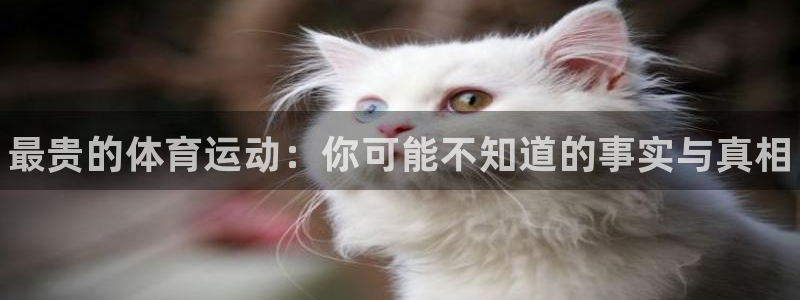 中欧体育ac米兰：最贵的体育运动：你可能不知道的事实与真相
