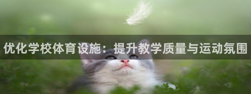 kok中欧体育：优化学校体育设施：提升教学质量与运动氛围