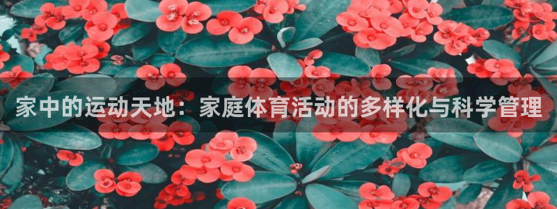 中欧体育kok：家中的运动天地：家庭体育活动的多样化与科学管理