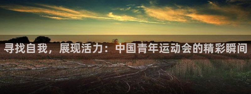 中欧体育网址：寻找自我，展现活力：中国青年运动会的精彩瞬间