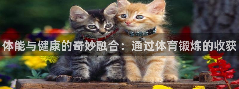 中欧体育登录：体能与健康的奇妙融合：通过体育锻炼的收获