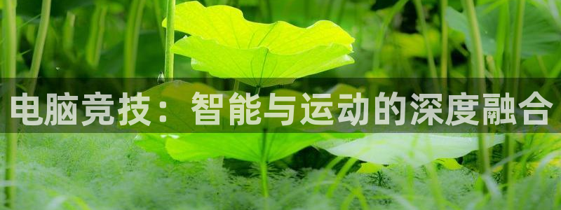 中欧体育app：电脑竞技：智能与运动的深度融合