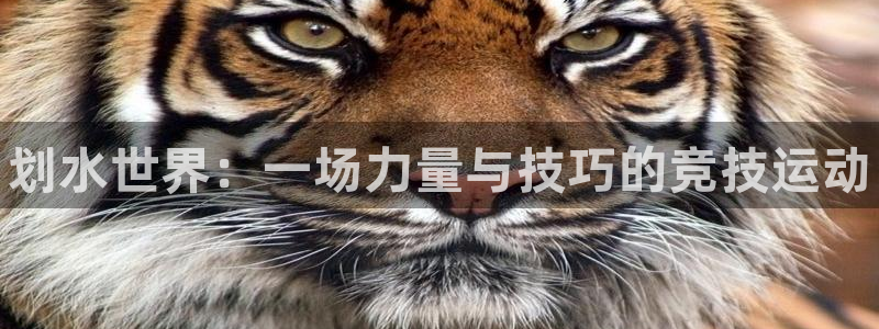 中欧体育ac米兰：划水世界：一场力量与技巧的竞技运动