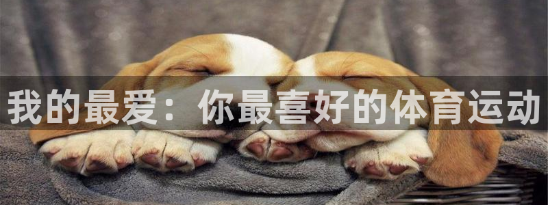 中欧体育在线：我的最爱：你最喜好的体育运动