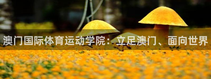 kok中欧体育登录：澳门国际体育运动学院：立足澳门、面向世界