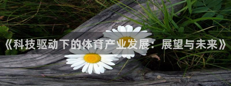 中欧体育下载：《科技驱动下的体育产业发展：展望与未来》