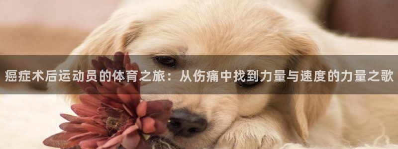 kok中欧体育：癌症术后运动员的体育之旅：从伤痛中找到力量与速度的力量之歌