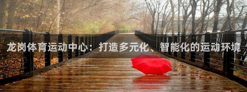 中欧体育下载：龙岗体育运动中心：打造多元化、智能化的运动环境