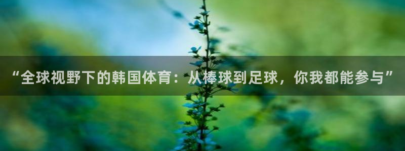 中欧体育kok官网首页：“全球视野下的韩国体育：从棒球到足球，你我都能参与”