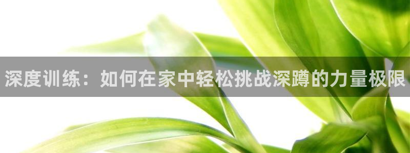 中欧体育李勇鸿：深度训练：如何在家中轻松挑战深蹲的力量极限