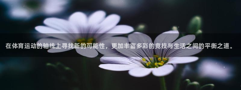 中欧体育官网：在体育运动的轴线上寻找新的可能性，更加丰富多彩的竞技与生活之间的平衡之道。