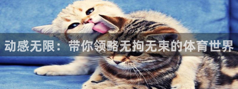 kok新版中欧体育：动感无限：带你领略无拘无束的体育世界