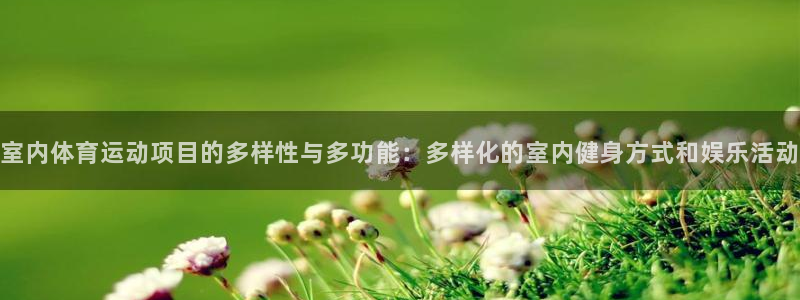 中欧体育李勇鸿：室内体育运动项目的多样性与多功能：多样化的室内健身方式和娱乐活动