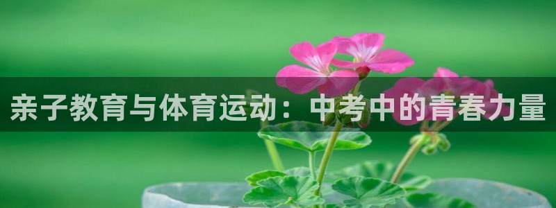 zyty中欧体育平台：亲子教育与体育运动：中考中的青春力量