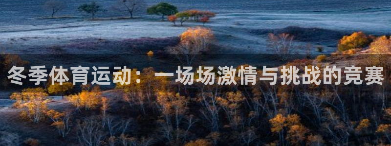 中欧体育网页版：冬季体育运动：一场场激情与挑战的竞赛