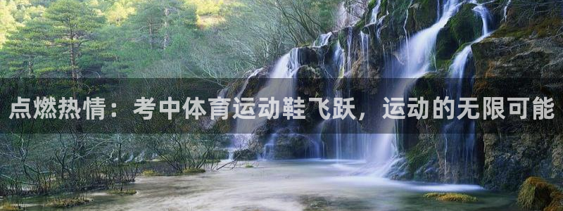 中欧体育app：点燃热情：考中体育运动鞋飞跃，运动的无限可能