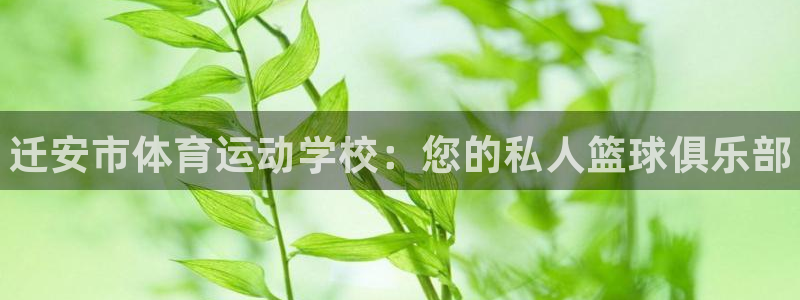 中欧体育登录：迁安市体育运动学校：您的私人篮球俱乐部