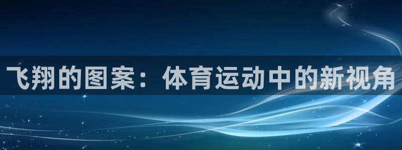 中欧体育官网：飞翔的图案：体育运动中的新视角