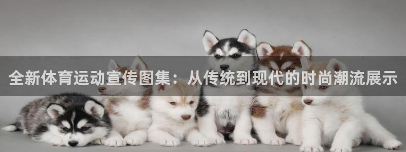 中欧体育在线：全新体育运动宣传图集：从传统到现代的时尚潮流展示