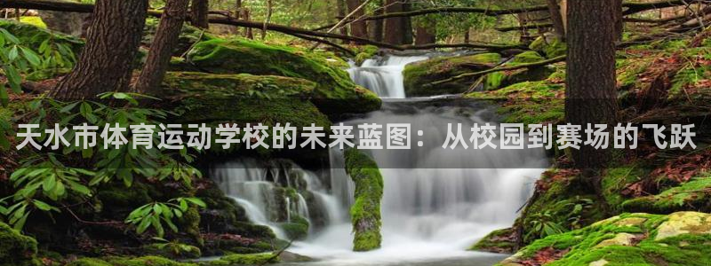 中欧体育网站：天水市体育运动学校的未来蓝图：从校园到赛场的飞跃