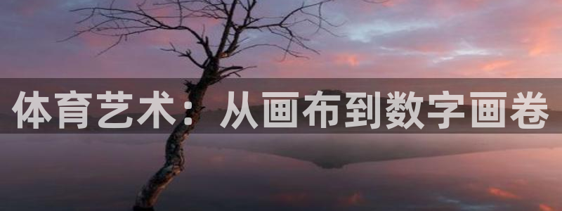 中欧体育客服：体育艺术：从画布到数字画卷