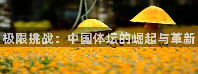 zoty中欧体育平台：极限挑战：中国体坛的崛起与革新