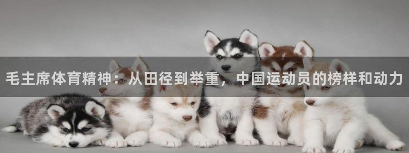 中欧体育登录：毛主席体育精神：从田径到举重，中国运动员的榜样和动力