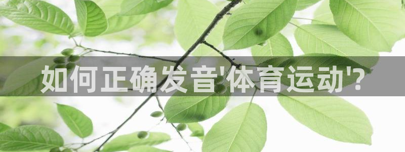 中欧体育全站app：如何正确发音\'体育运动\'?
